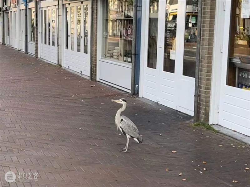 【OCAT上海馆 | 桑肯花园 Vol.13】彭祖强×王姝曼:谁料已经感到变动 OCAT上海馆 崇真艺客